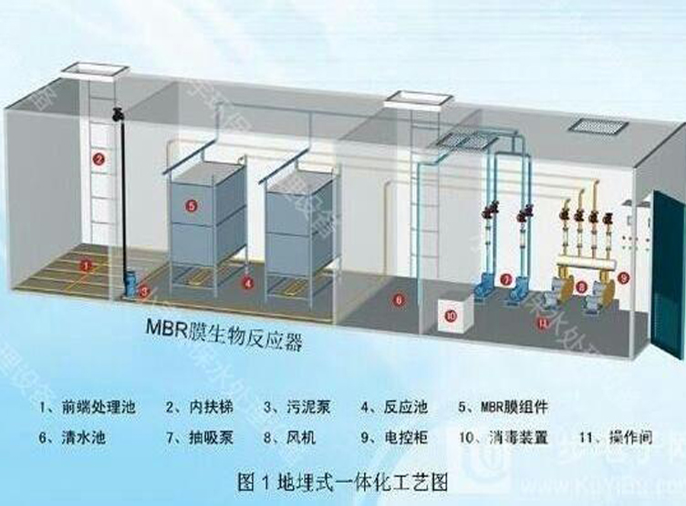 MBR下载，数字世界探索的关键步骤