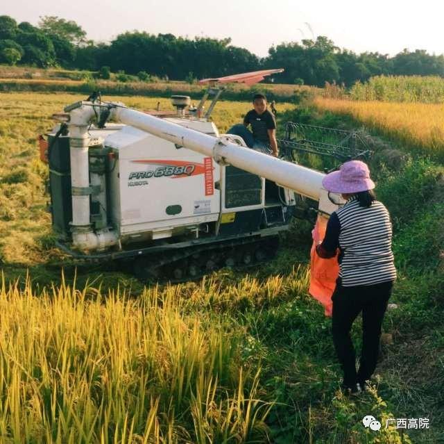 爱你有风时，情感与技术的交织之美在线阅读