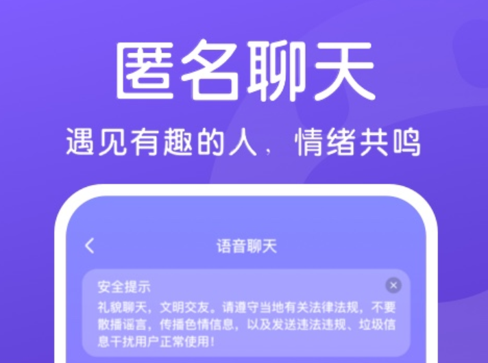 匿名聊天下载的世界，隐私保护与社交互动的新领域探索