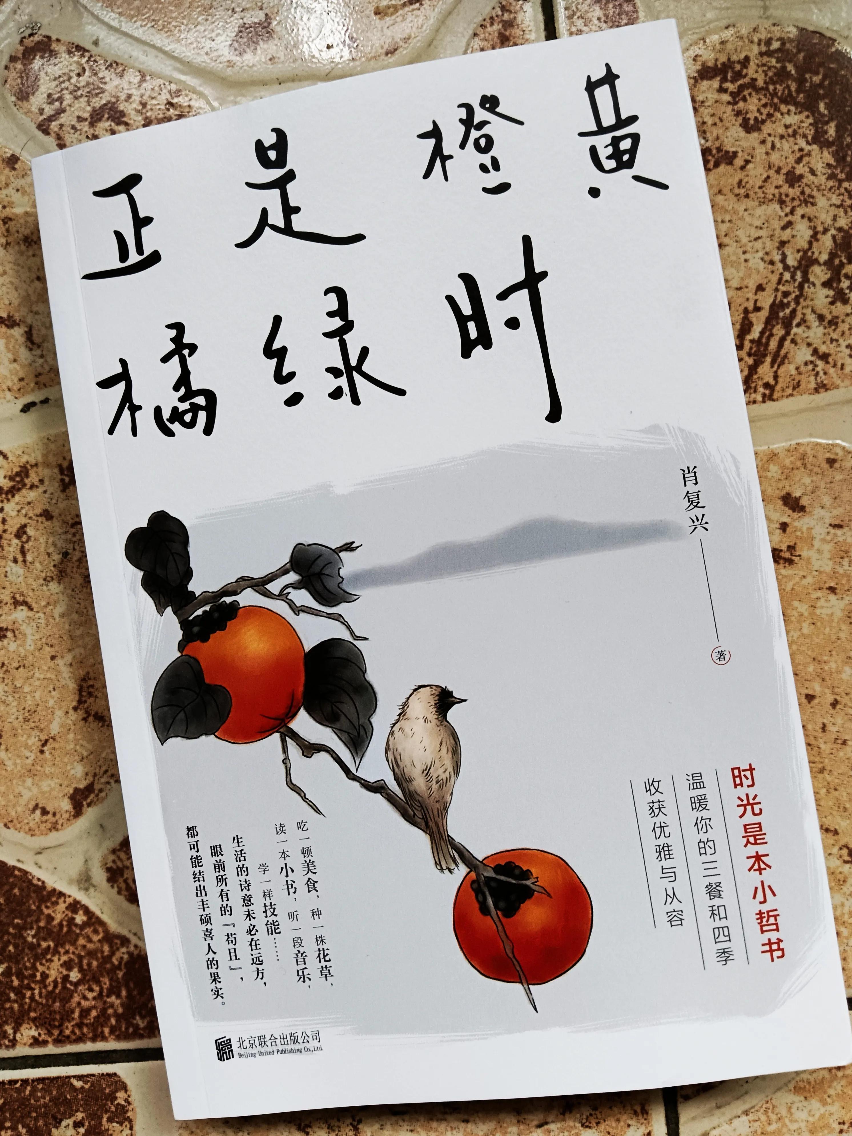 肖复兴作品在线阅读，文学魅力与数字时代的便捷交织