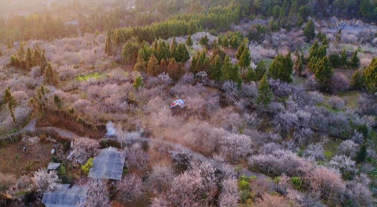 固东镇交通新动态，发展助力地方繁荣