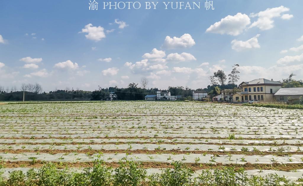 潼南罐坝项目进展顺利，助力地方经济发展新动力