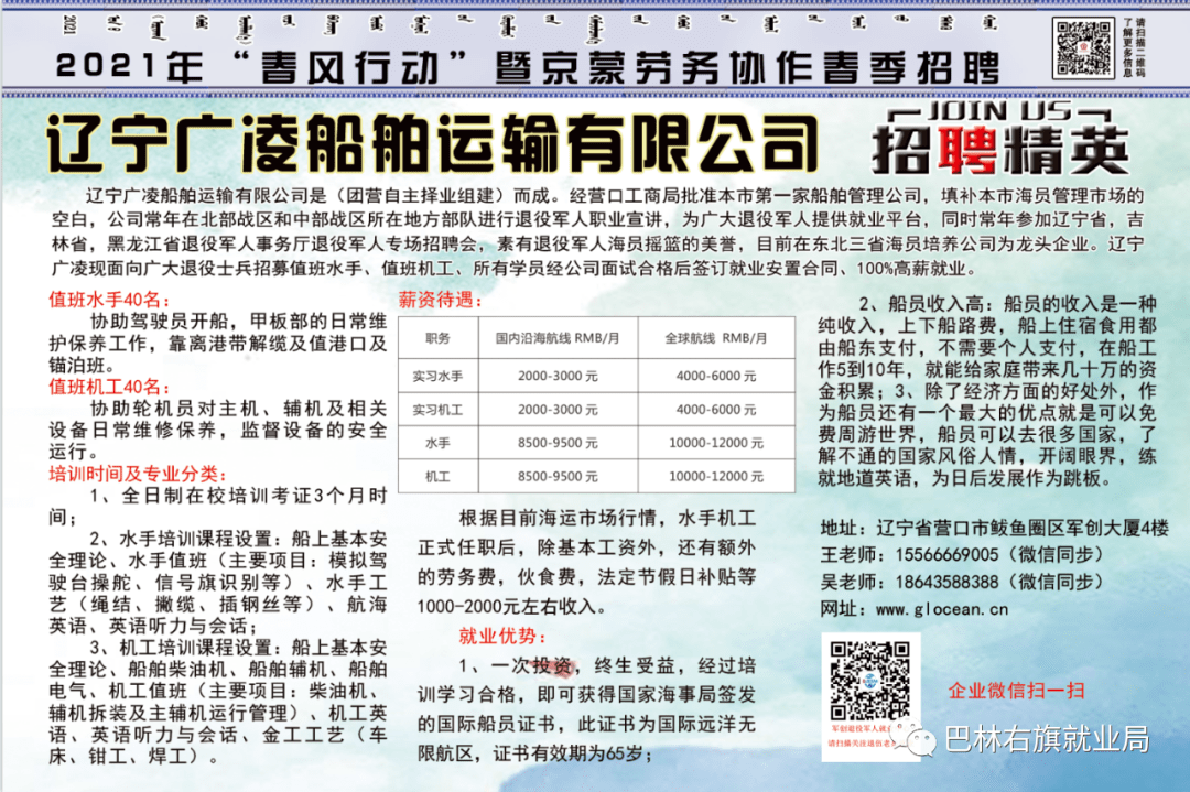 探索职业新机遇，0453信息网最新招聘动态全解析