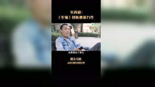 毛骗最新版，现代欺诈现象的深度剖析与警示反思