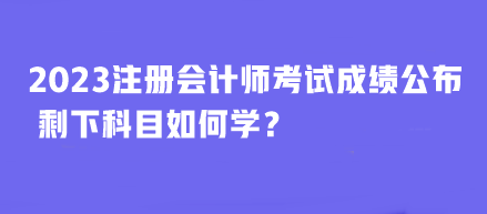 2024澳门今期开奖结果,商标注册过程_缩小款52.53