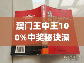 新澳门王中王100%期期中,精细执行计划_演示制84.307