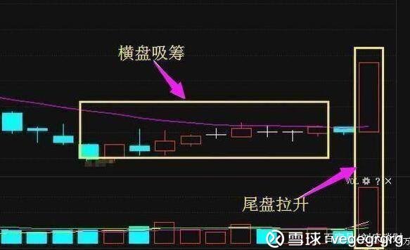 万华股票最新动态，市场走势及前景展望