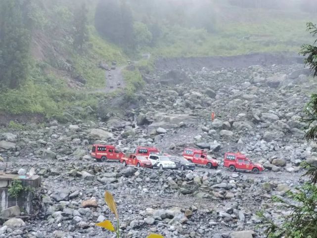 芦山县地震最新动态，全面更新与深度解读