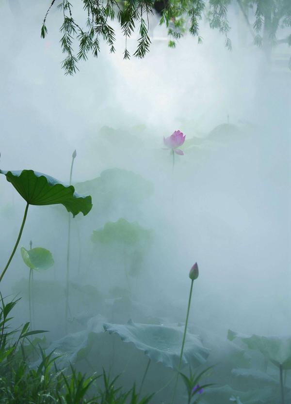 雾里看花背后的迅雷下载，魅力与挑战并存