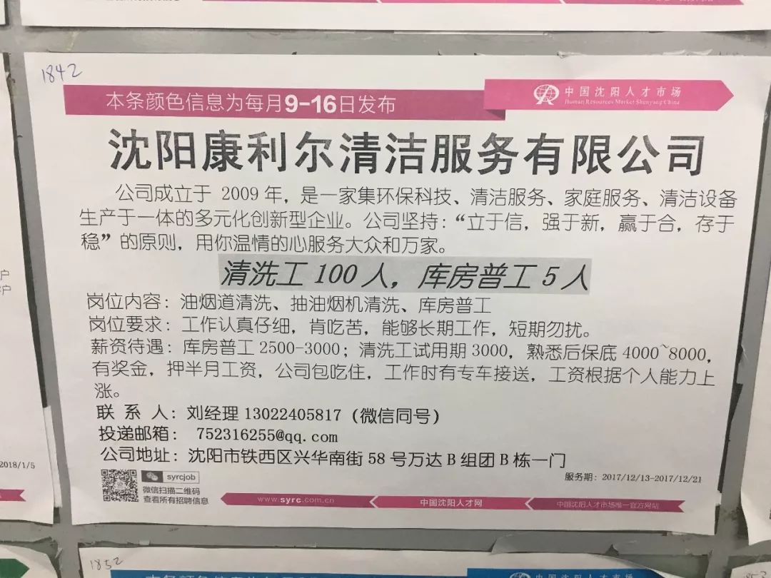 沈阳人才市场最新招聘动态深度剖析